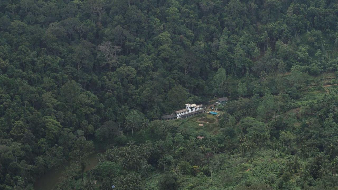 Sinharaja Forest Edge Deniyaya Εξωτερικό φωτογραφία